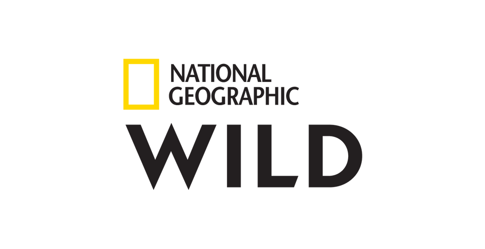 large_LOGO_NGWILD_black_001f93c63c